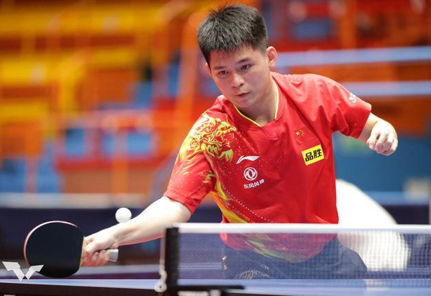 展现了出色 展现了出色